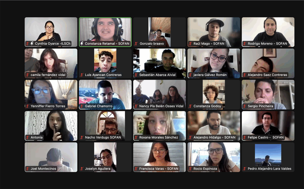 La foto es un pantallazo del zoom, se ven a 25 personas conectadas.