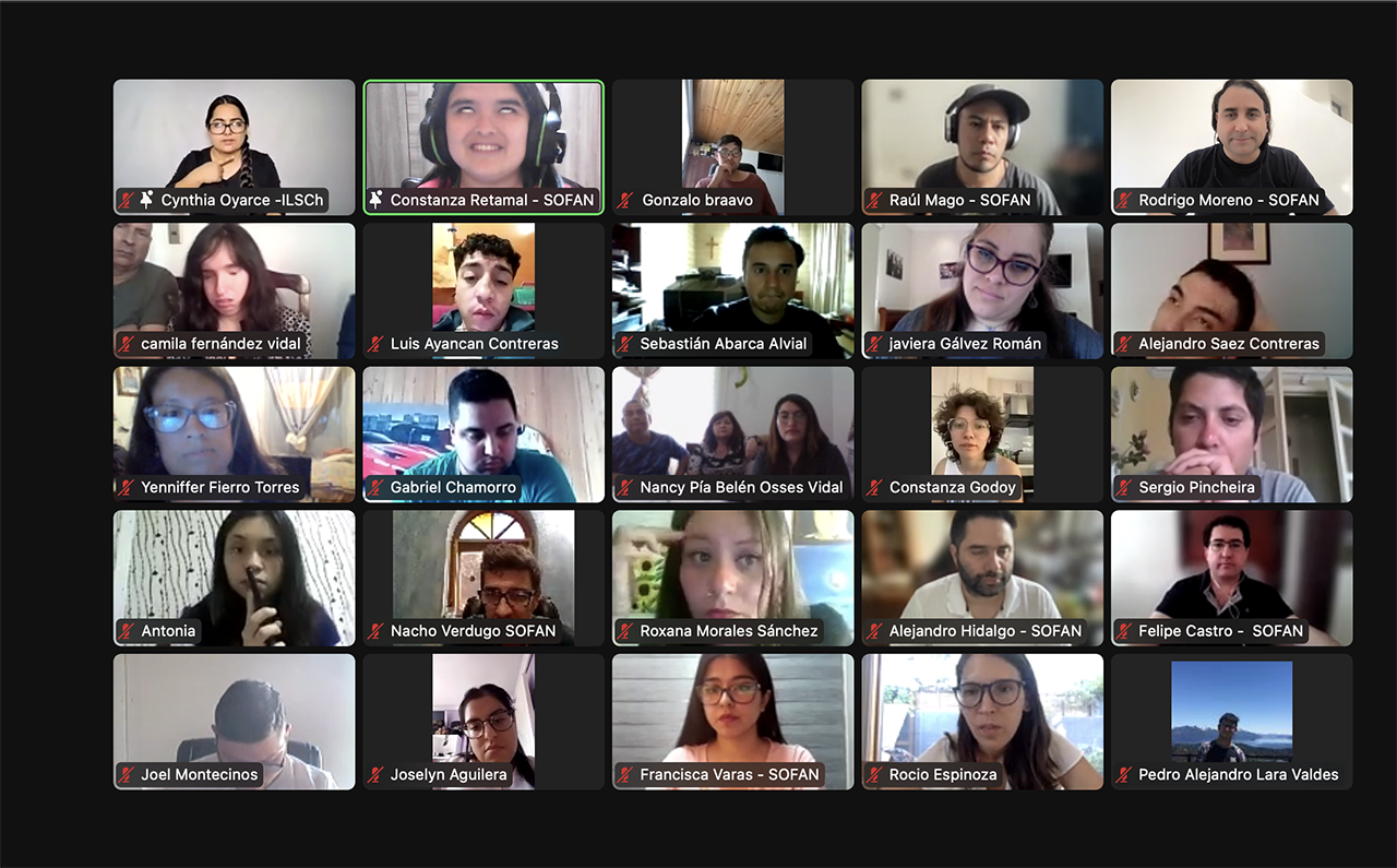 La foto es un pantallazo del zoom, se ven a 25 personas conectadas.